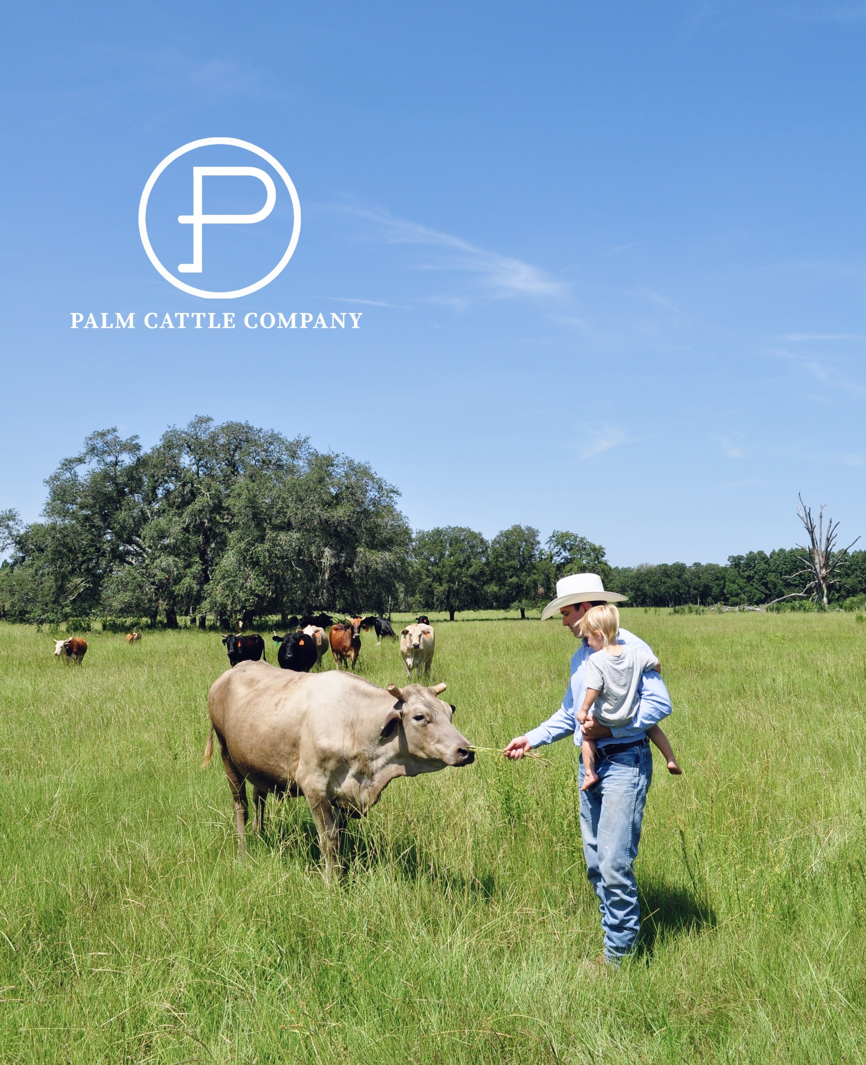 The Next Generation: Teaching Our Children Where Beef Comes From!