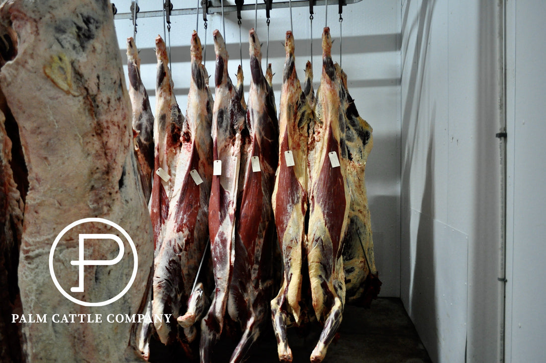 Why Local Processing Helps The Community: Chiles Ranch & Palm Cattle Company