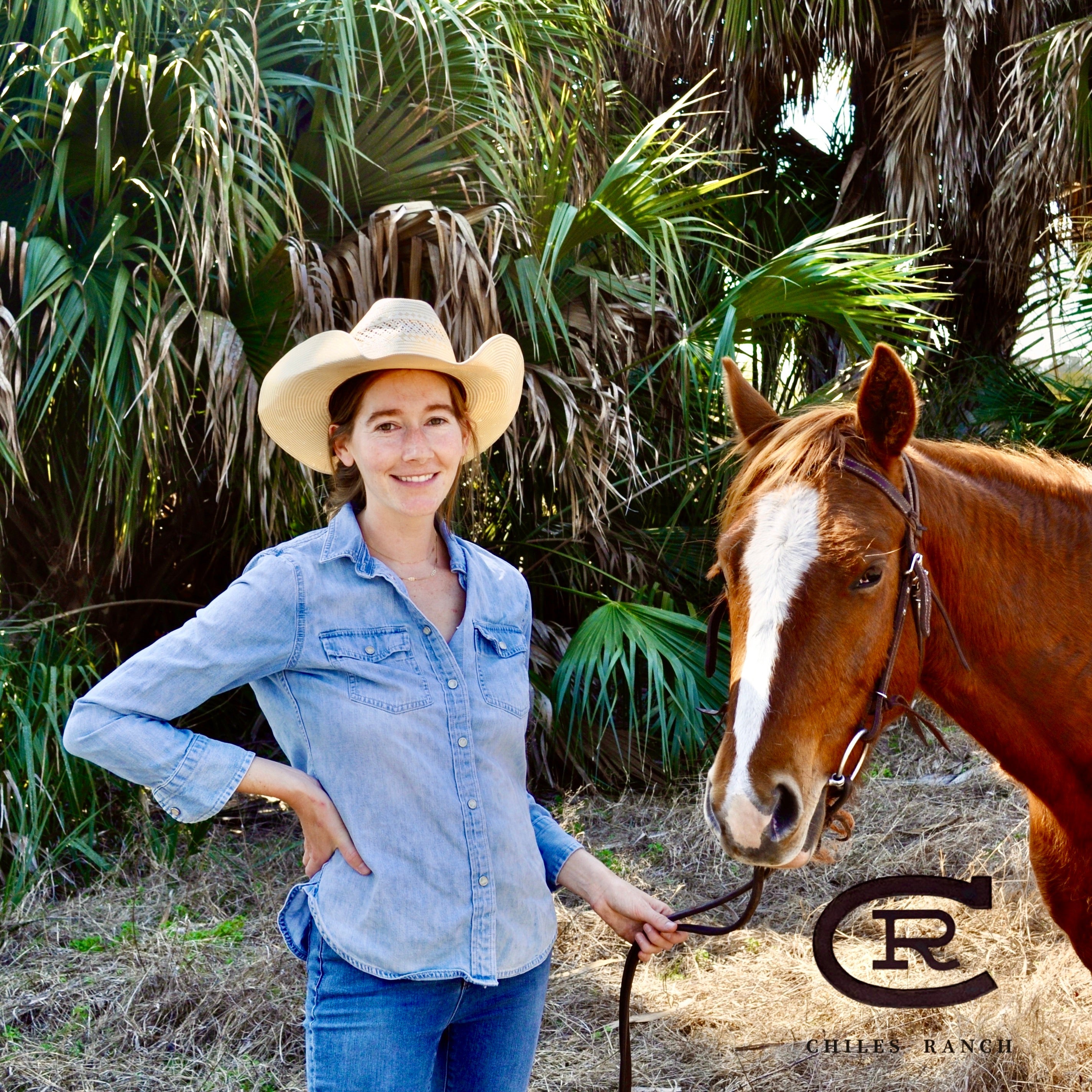 Florida Beef from Florida Families  | Chiles Ranch & Palm Cattle Company