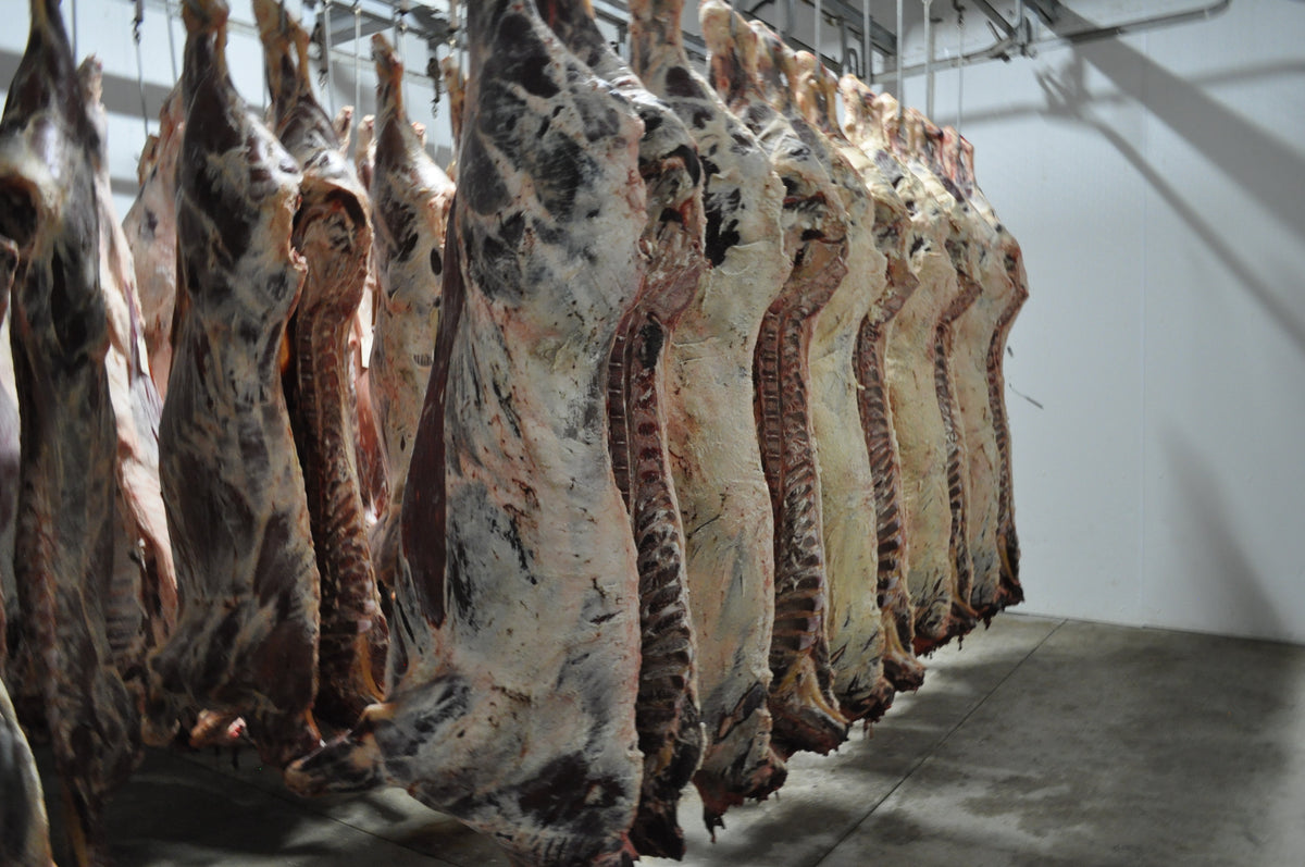 Chiles Ranch | Exceptional Cattle & Beef – The Chiles Ranch