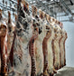 Whole Beef: American Angus + Grain Finished + Custom Dry Age