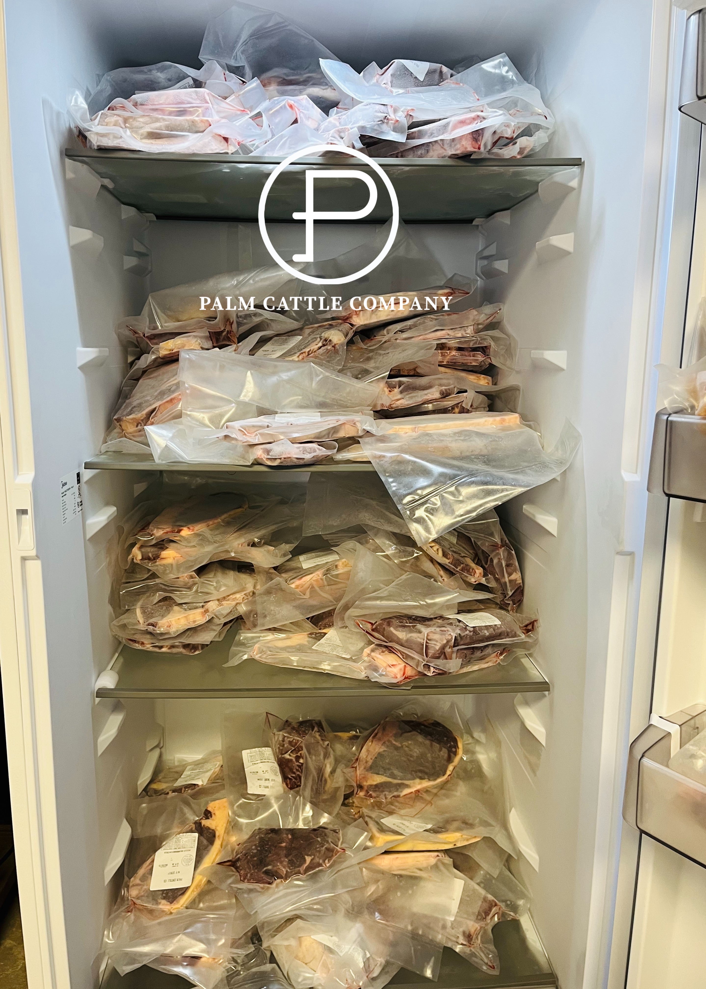 Whole Angus Steer: 450 Pounds of Beef + Custom Dry Age